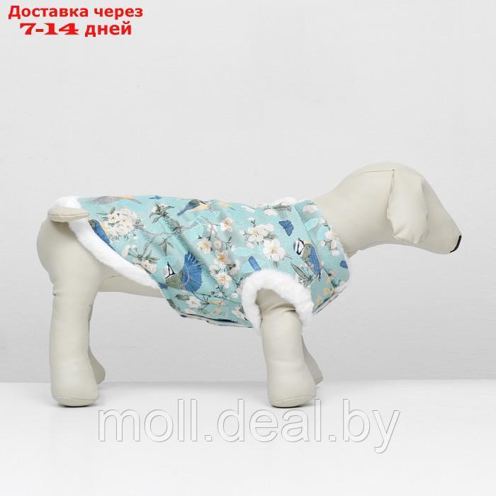 Куртка для собак "Нежность", размер S - фото 4 - id-p217523218