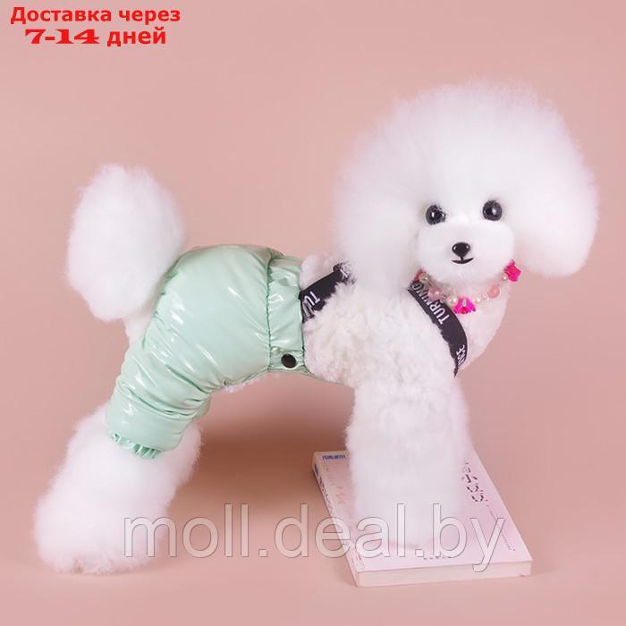 Комбинезон-штаны для собак, размер S (ДС 24, ОТ 34 см), мятный - фото 1 - id-p217523222