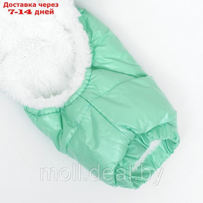Комбинезон-штаны для собак, размер S (ДС 24, ОТ 34 см), мятный - фото 2 - id-p217523222