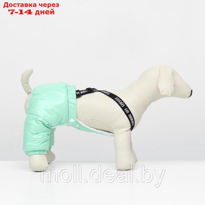 Комбинезон-штаны для собак, размер S (ДС 24, ОТ 34 см), мятный - фото 3 - id-p217523222