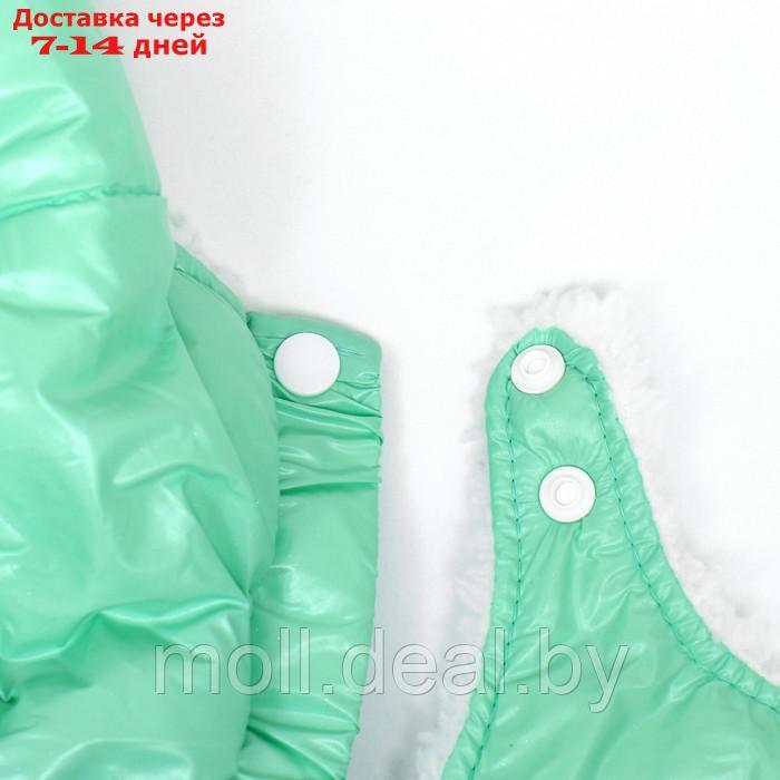 Комбинезон-штаны для собак, размер S (ДС 24, ОТ 34 см), мятный - фото 10 - id-p217523222
