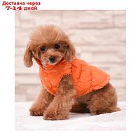 Куртка для собак "Блеск", XS (ДС 20, ОГ 28, ОШ 19 см, до 3 кг), оранжевая