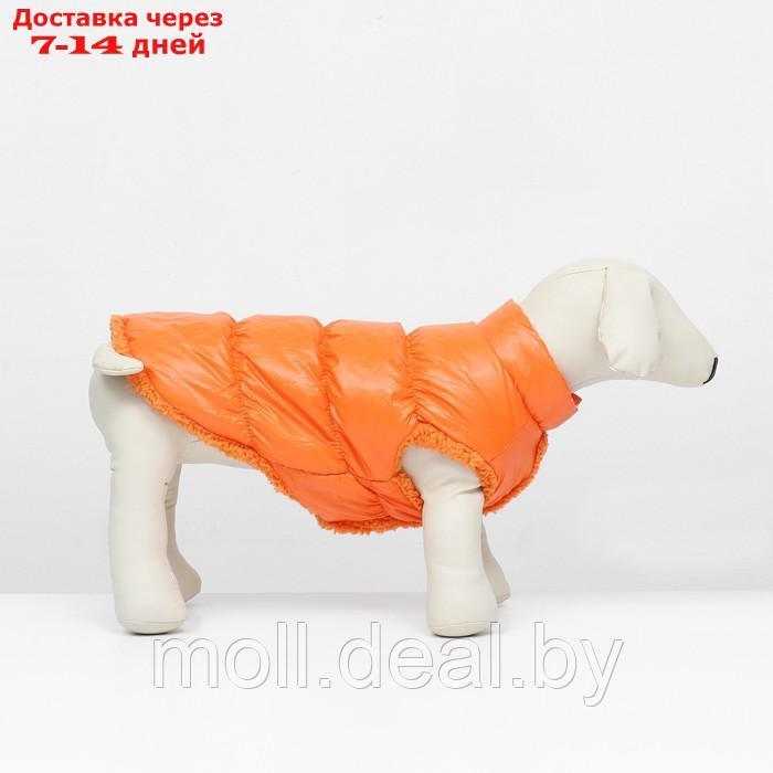Куртка для собак "Блеск", XS (ДС 20, ОГ 28, ОШ 19 см, до 3 кг), оранжевая - фото 3 - id-p217523227