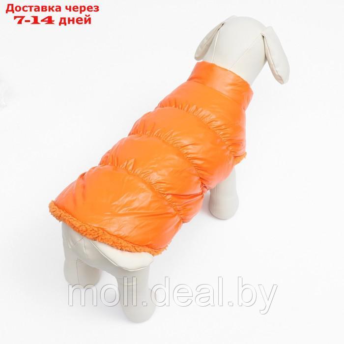 Куртка для собак "Блеск", XS (ДС 20, ОГ 28, ОШ 19 см, до 3 кг), оранжевая - фото 4 - id-p217523227