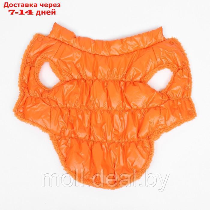 Куртка для собак "Блеск", XS (ДС 20, ОГ 28, ОШ 19 см, до 3 кг), оранжевая - фото 8 - id-p217523227