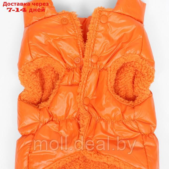 Куртка для собак "Блеск", XS (ДС 20, ОГ 28, ОШ 19 см, до 3 кг), оранжевая - фото 9 - id-p217523227