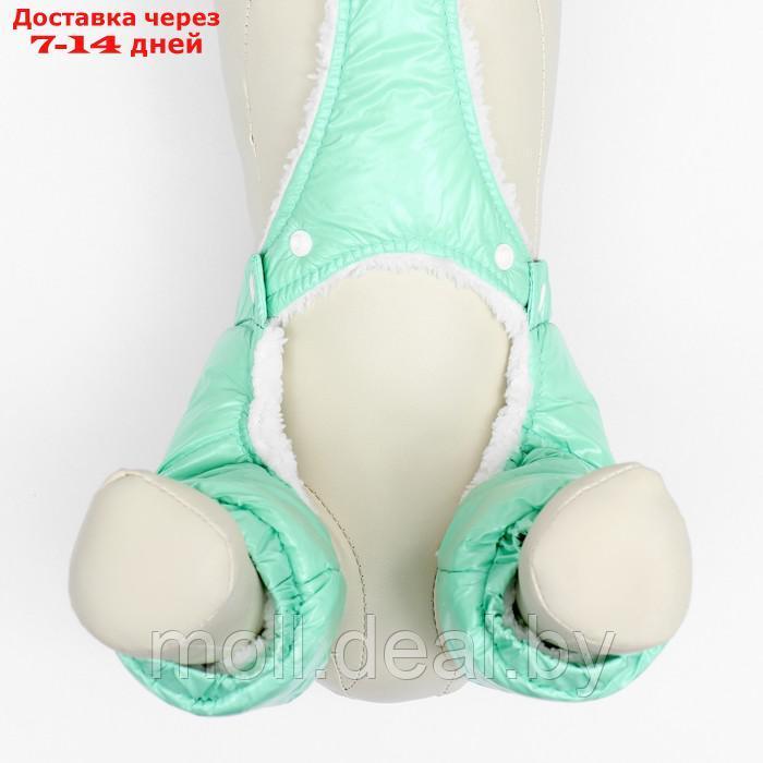 Комбинезон-штаны для собак, размер L (ДС 34, ОТ 47 см), мятный - фото 8 - id-p217523241