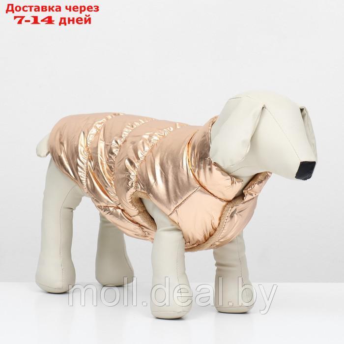 Куртка для собак "Блеск", S (ДС 25, ОГ 37, ОШ 24 см, до 5 кг), бронзовая - фото 1 - id-p217523243
