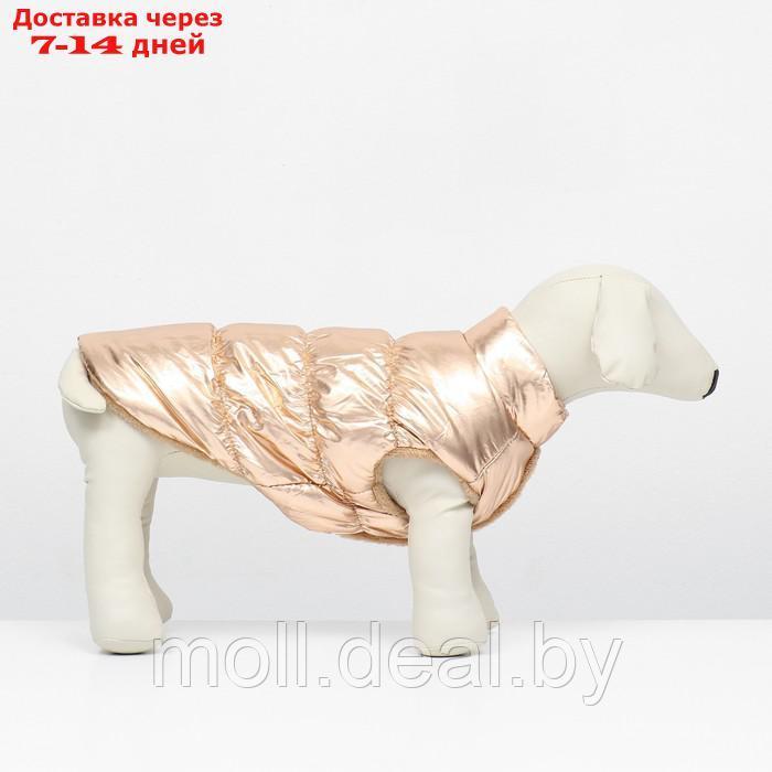 Куртка для собак "Блеск", S (ДС 25, ОГ 37, ОШ 24 см, до 5 кг), бронзовая - фото 2 - id-p217523243