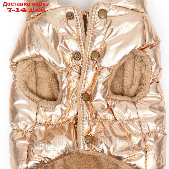 Куртка для собак "Блеск", S (ДС 25, ОГ 37, ОШ 24 см, до 5 кг), бронзовая - фото 8 - id-p217523243