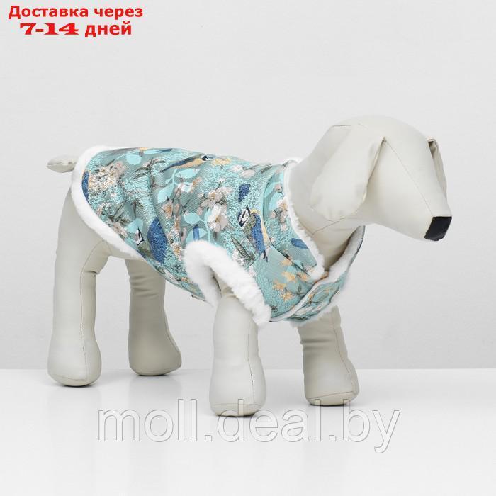 Куртка для собак "Нежность", размер M - фото 3 - id-p217523246