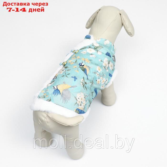 Куртка для собак "Нежность", размер M - фото 5 - id-p217523246