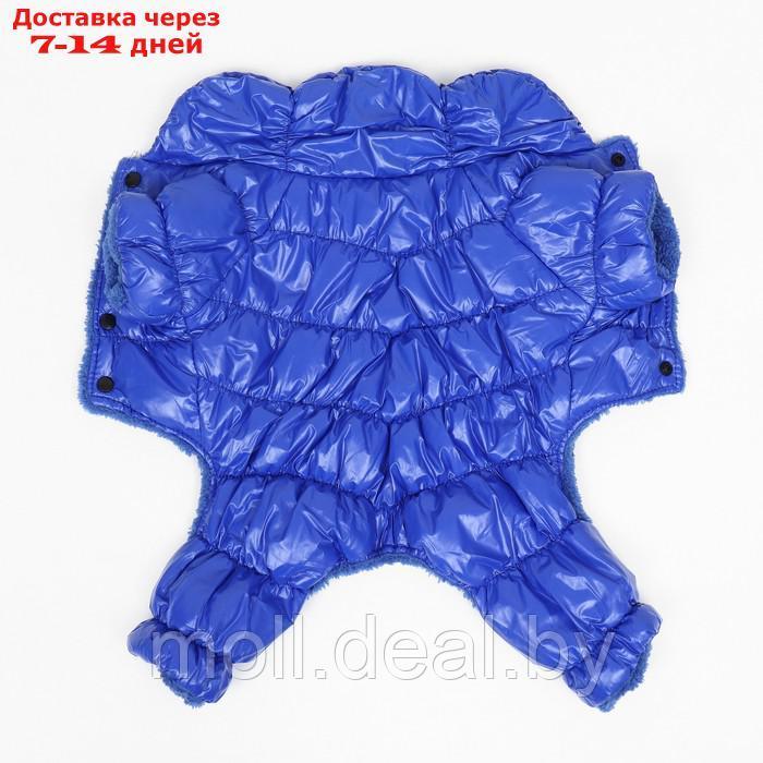 Комбинезон "Блеск", размер XS (ДС 19 см, ОГ 28, ОШ 19 см, до 3 кг), синий - фото 9 - id-p217523249
