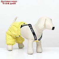 Комбинезон-штаны для собак, размер M (ДС 30, ОТ 40 см), жёлтый