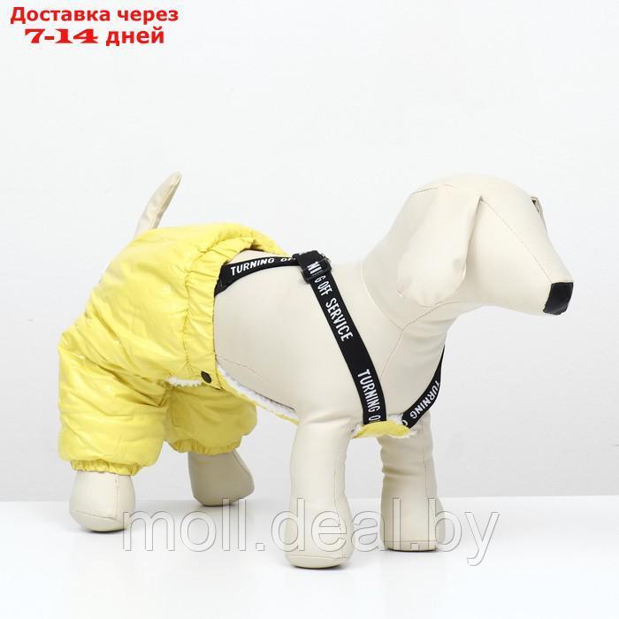 Комбинезон-штаны для собак, размер M (ДС 30, ОТ 40 см), жёлтый - фото 1 - id-p217523255
