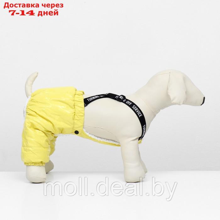 Комбинезон-штаны для собак, размер M (ДС 30, ОТ 40 см), жёлтый - фото 3 - id-p217523255