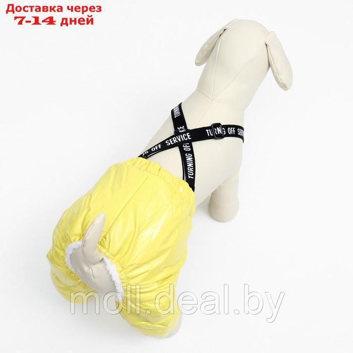 Комбинезон-штаны для собак, размер M (ДС 30, ОТ 40 см), жёлтый - фото 4 - id-p217523255