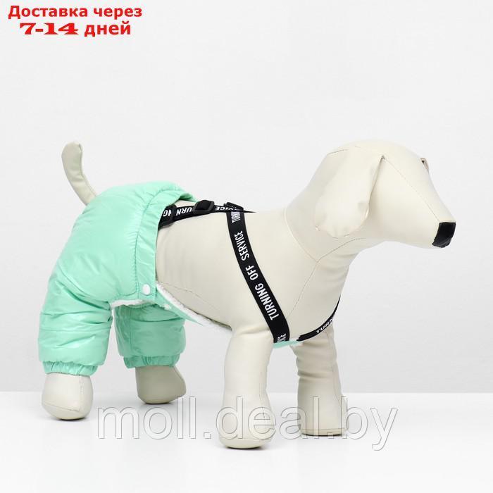 Комбинезон-штаны для собак, размер XS (ДС 19, ОТ 28 см), мятный - фото 3 - id-p217523256