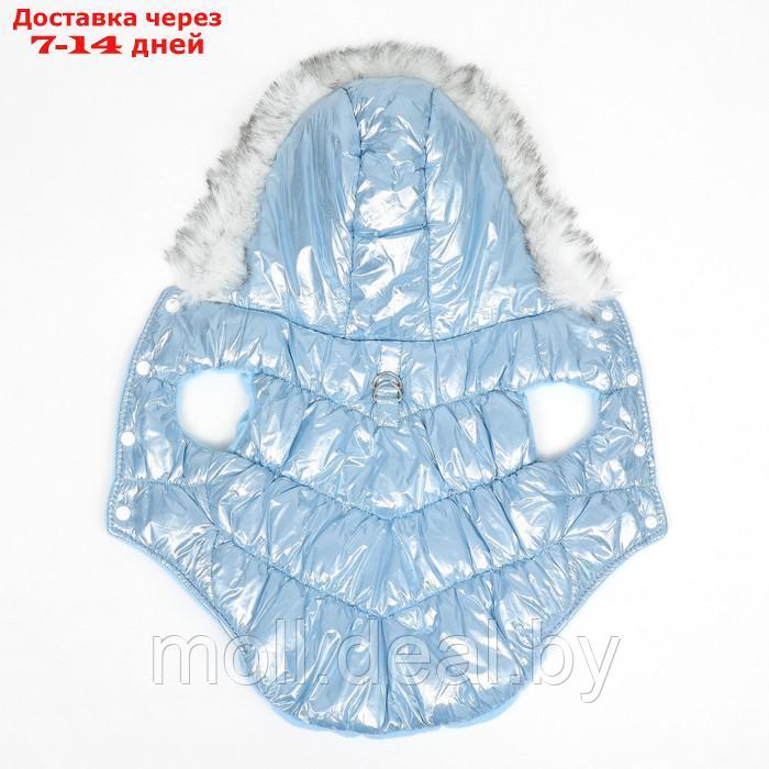 Куртка для собак "Легкость", размер XS (ДС 19, ОГ 28, ОШ 19 см, до 3 кг), голубая - фото 2 - id-p217523258