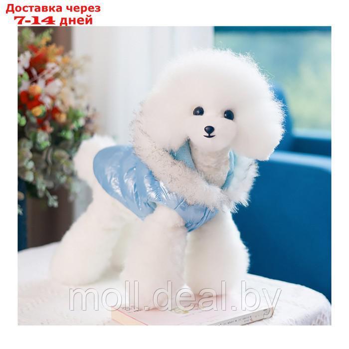 Куртка для собак "Легкость", размер 2XL (ДС 44, ОГ 59, ОШ 44 см), голубая - фото 1 - id-p217523259