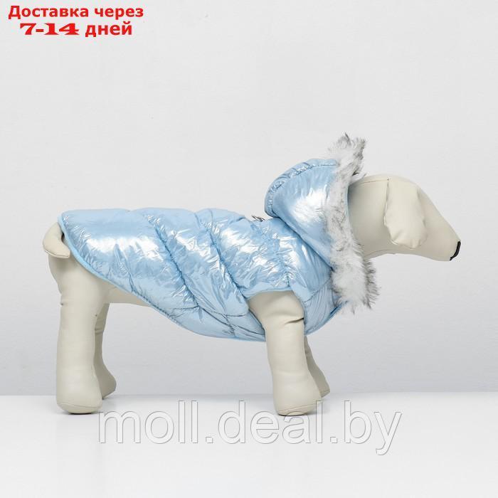 Куртка для собак "Легкость", размер 2XL (ДС 44, ОГ 59, ОШ 44 см), голубая - фото 4 - id-p217523259