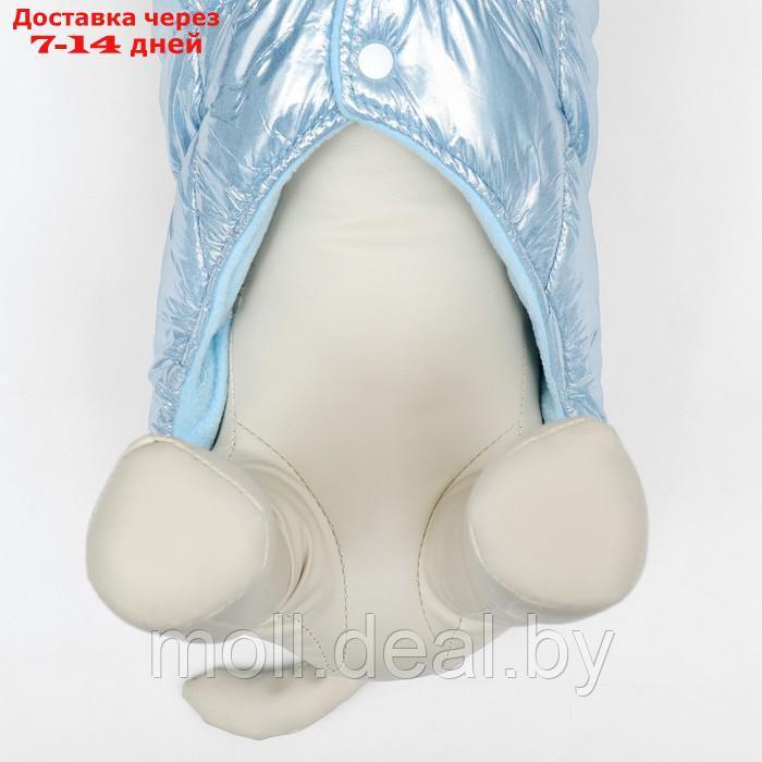Куртка для собак "Легкость", размер 2XL (ДС 44, ОГ 59, ОШ 44 см), голубая - фото 10 - id-p217523259