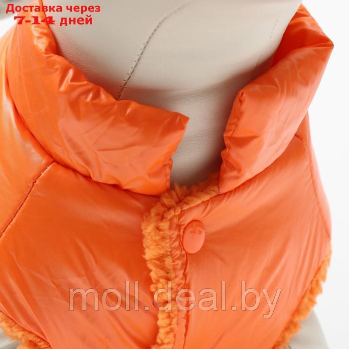 Куртка для собак "Блеск", S (ДС 25, ОГ 37, ОШ 24 см, до 5 кг), оранжевая - фото 5 - id-p217523260