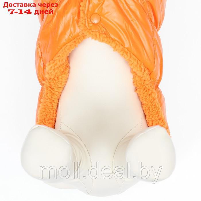 Куртка для собак "Блеск", 3XL (ДС 50, ОГ 68, ОШ 44 см), оранжевая - фото 6 - id-p217523278