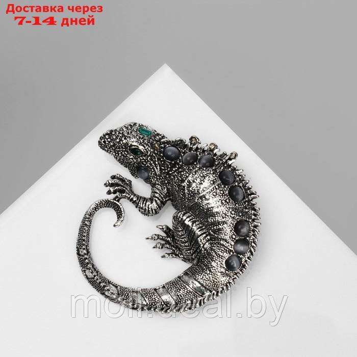 Брошь "Ящерица" игуана, цвет серо-зелёный в чернёном серебре - фото 1 - id-p217523303