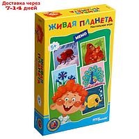 Дорожная игра "Живая планета"