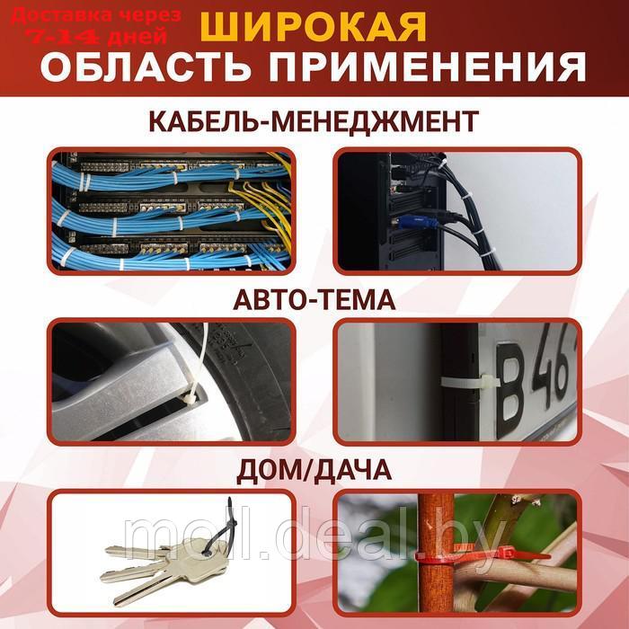 Хомут нейлоновый пластик ТУНДРА krep, для стяжки, 3.6х500 мм, белый, в уп. 100 шт - фото 3 - id-p218070094