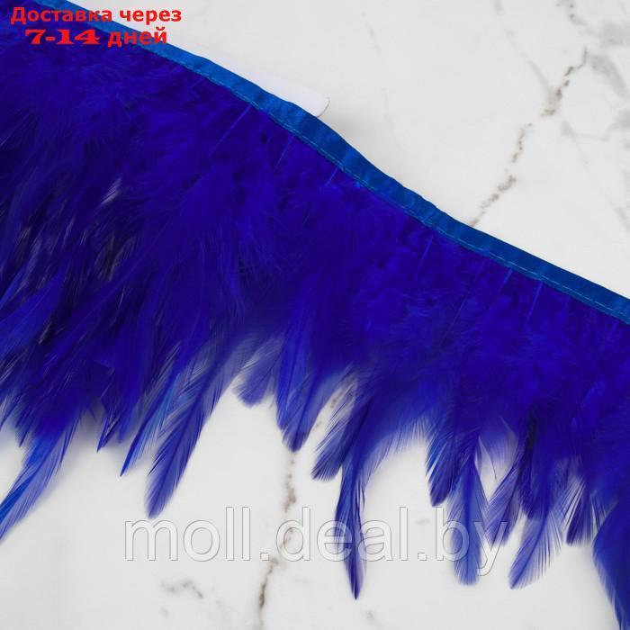 Тесьма с перьями 10-15см*5±0,5м петух синий АУ - фото 2 - id-p218070373