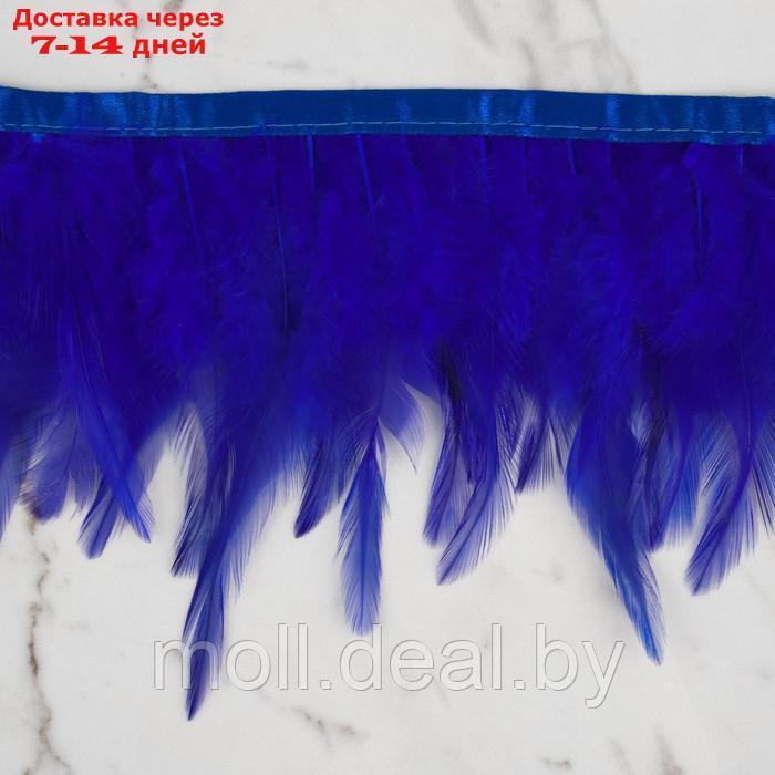 Тесьма с перьями 10-15см*5±0,5м петух синий АУ - фото 3 - id-p218070373