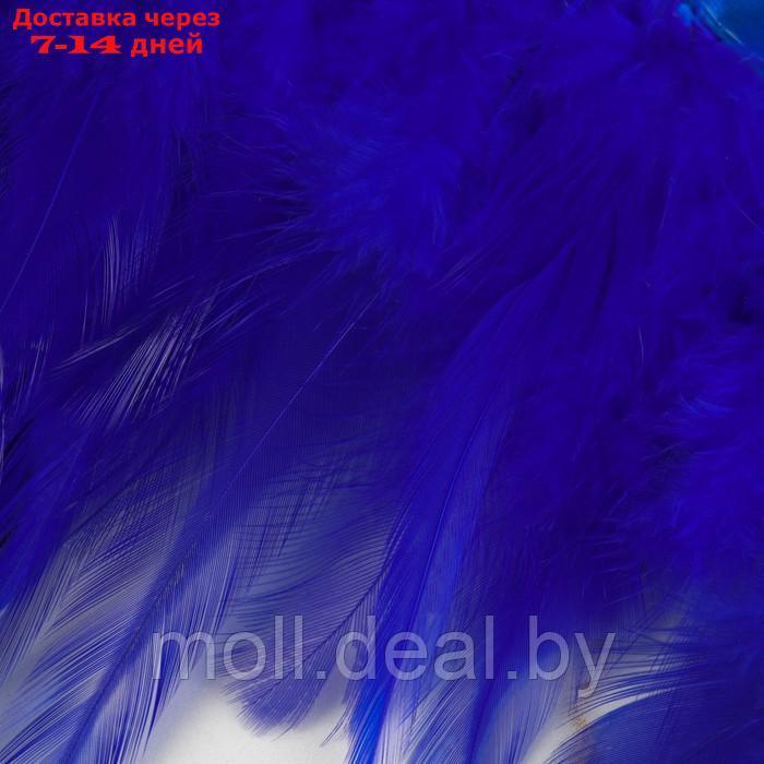 Тесьма с перьями 10-15см*5±0,5м петух синий АУ - фото 4 - id-p218070373