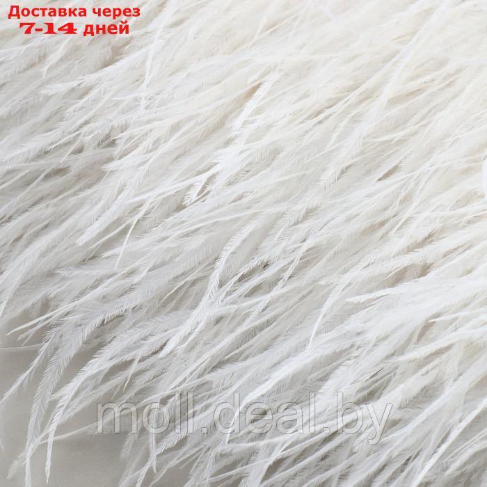 Тесьма с перьями страуса, 8-10 см, 5 ± 0,5 м, цвет белый - фото 2 - id-p218070409