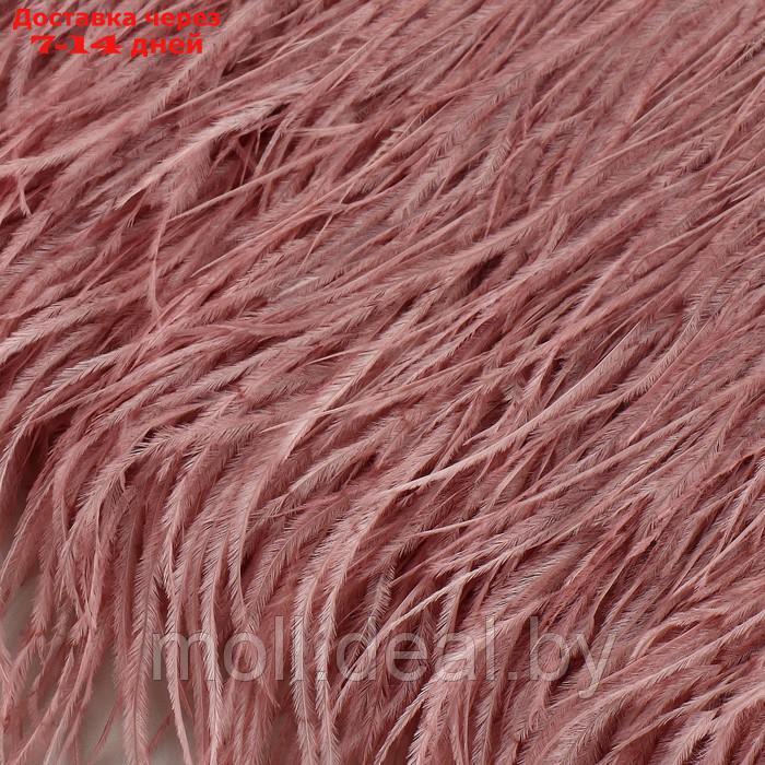 Тесьма с перьями страуса, 8-10 см, 5 ± 0,5 м, цвет пудровый - фото 2 - id-p218070413