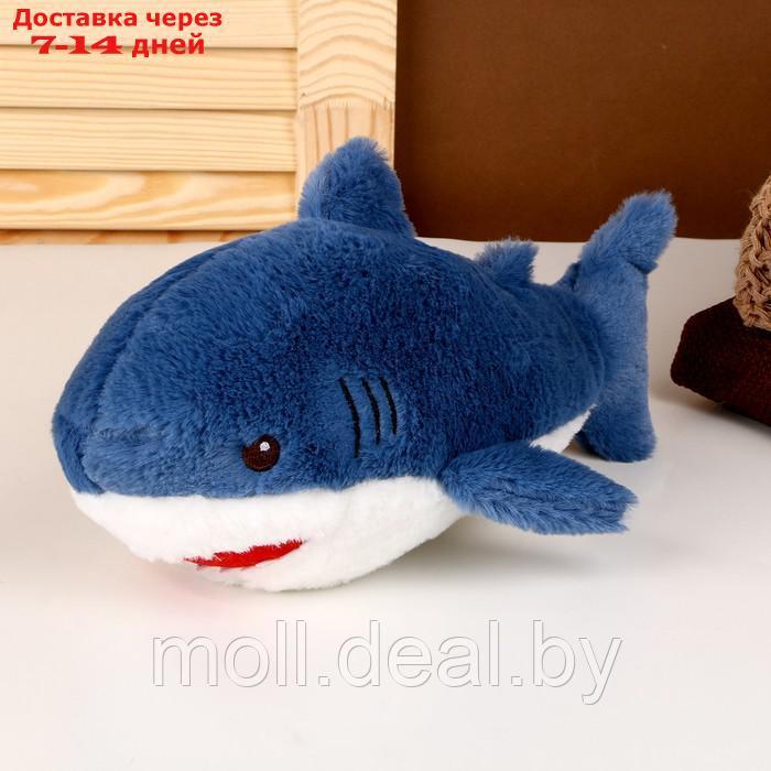 Мягкая игрушка "Акула", 25 см, цвет синий - фото 1 - id-p218070471