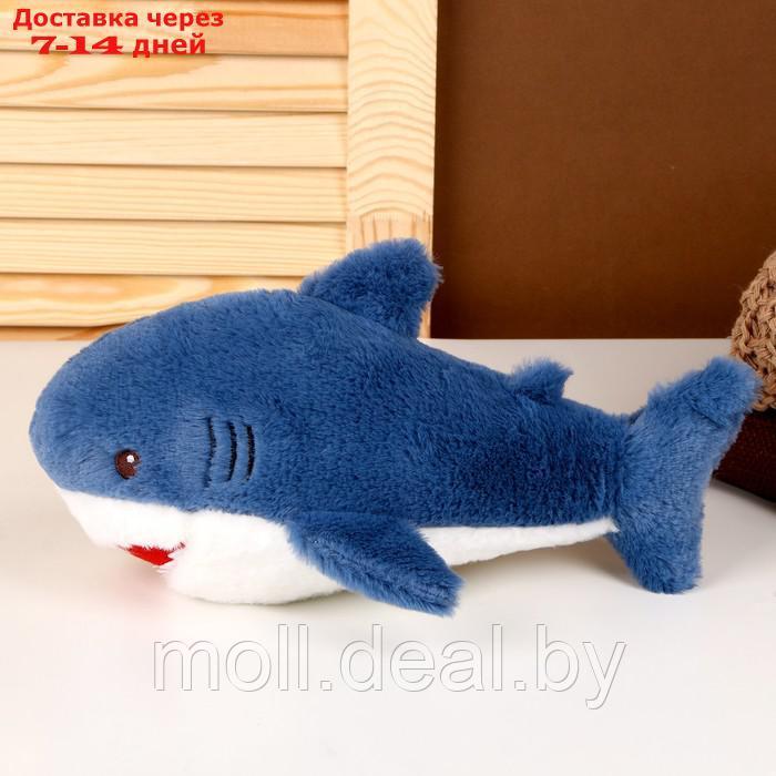 Мягкая игрушка "Акула", 25 см, цвет синий - фото 2 - id-p218070471