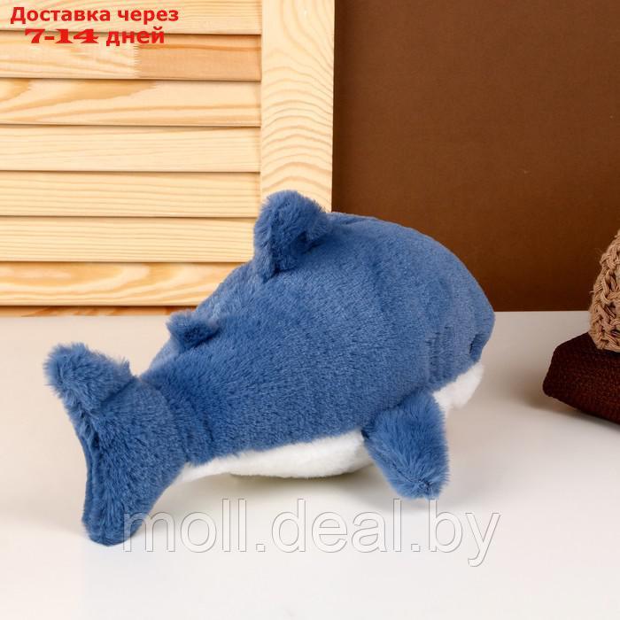 Мягкая игрушка "Акула", 25 см, цвет синий - фото 3 - id-p218070471