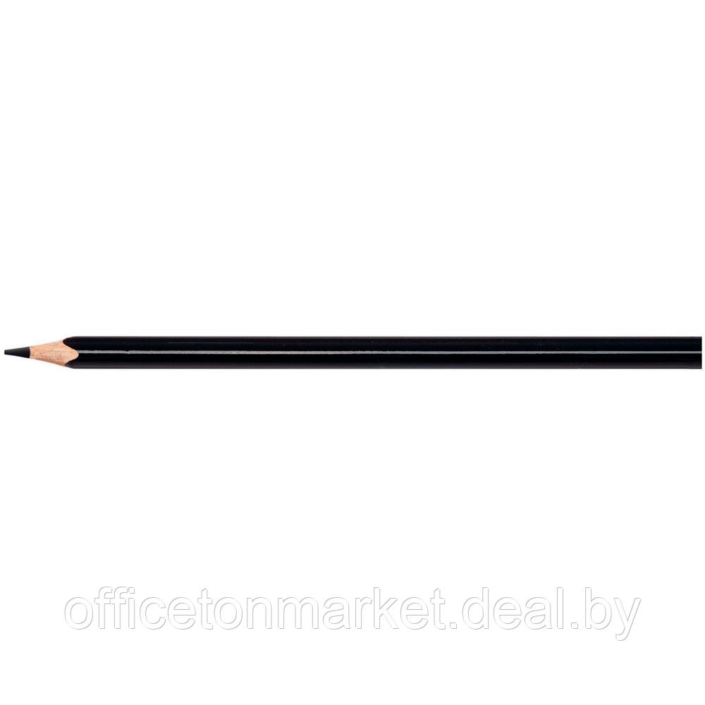 Цветные карандаши Maped "Skin Tones", 12+3 шт - фото 7 - id-p218046224