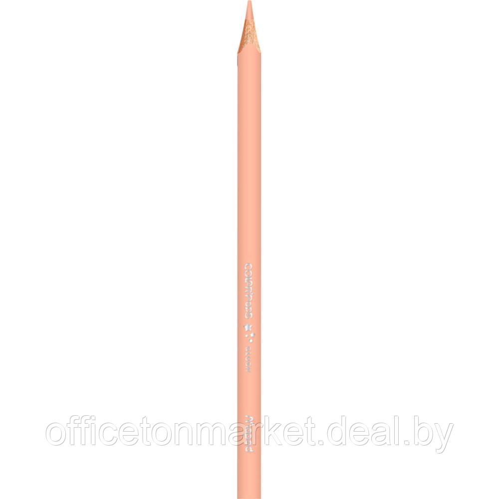 Цветные карандаши Maped "Skin Tones", 12+3 шт - фото 8 - id-p218046224
