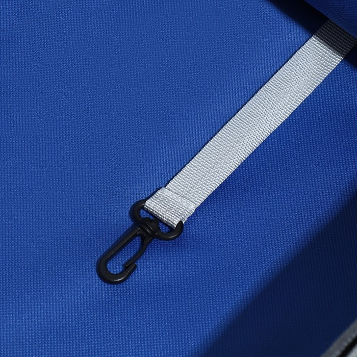 Рюкзак для переноски животных прозрачный, 31 х 28 х 42 см, синий - фото 9 - id-p218090262