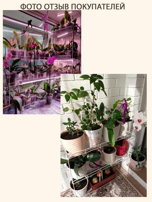 Подставка под цветы металлическая этажерка стеллаж для рассады комнатных растений на окно подоконник напольный - фото 9 - id-p218092960