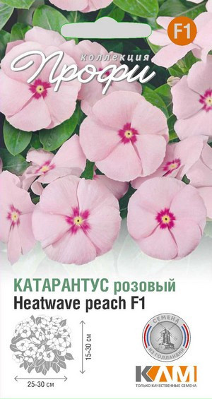 Катарантус розовый Хотвейв Пеач F1 10шт КЛМ