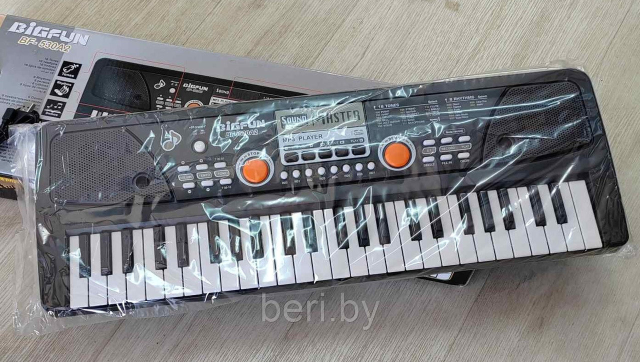 BF-530A2 Детский синтезатор Bigfun, пианино, микрофон, USB, MP3, запись, 49 клавиш - фото 7 - id-p147644179