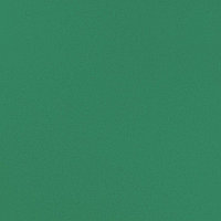 Керамогранит Евро керамика Моноколор Зелёный 600х600