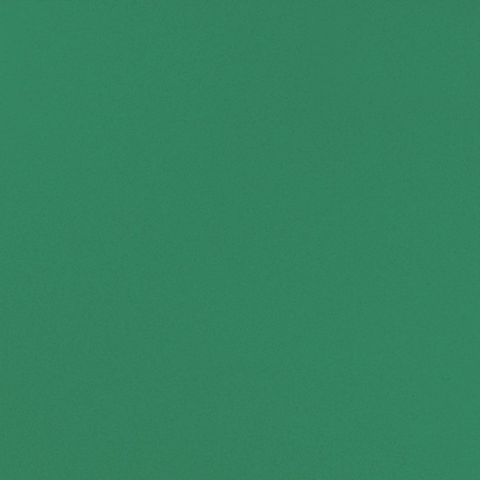 Керамогранит Евро керамика Моноколор Зелёный 600х600 - фото 1 - id-p218114082