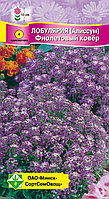 Алиссум Лобулярия морская Фиолетовый ковер 0,2г МССО