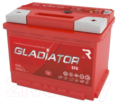 Автомобильный аккумулятор Gladiator EFB R+ - фото 1 - id-p218170226