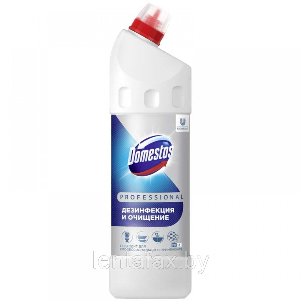 Чистящее средство универсальное Domestos Professional "Свежесть Атлантики", хлоросодержащее, гель, 1л